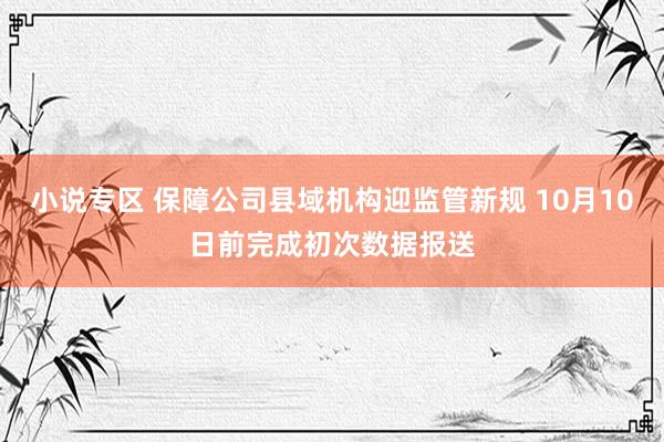 小说专区 保障公司县域机构迎监管新规 10月10日前完成初次数据报送