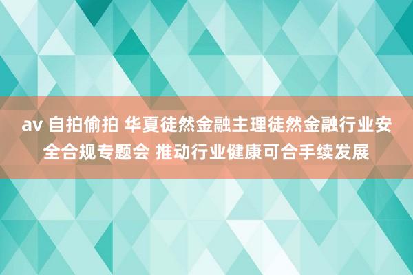 av 自拍偷拍 华夏徒然金融主理徒然金融行业安全合规专题会 推动行业健康可合手续发展