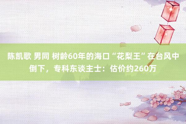 陈凯歌 男同 树龄60年的海口“花梨王”在台风中倒下，专科东谈主士：估价约260万