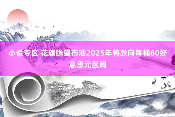 小说专区 花旗瞻望布油2025年将跌向每桶60好意思元区间