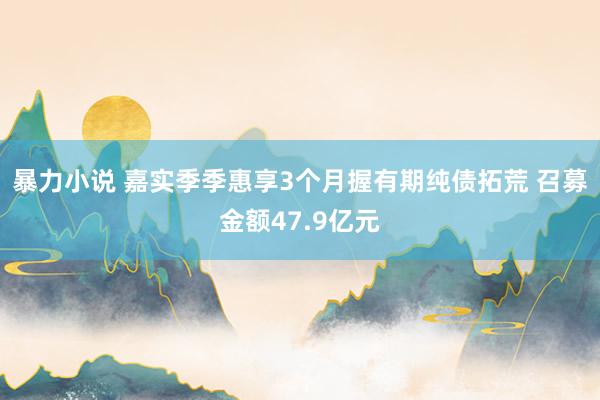 暴力小说 嘉实季季惠享3个月握有期纯债拓荒 召募金额47.9亿元