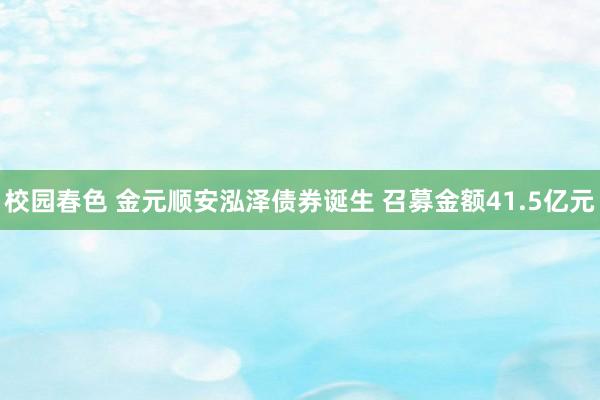 校园春色 金元顺安泓泽债券诞生 召募金额41.5亿元