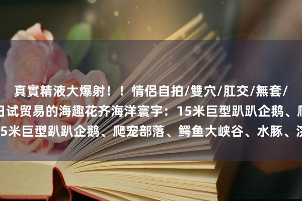 真實精液大爆射！！情侶自拍/雙穴/肛交/無套/大量噴精 探秘将于28日试贸易的海趣花齐海洋寰宇：15米巨型趴趴企鹅、爬宠部落、鳄鱼大峡谷、水豚、浣熊…