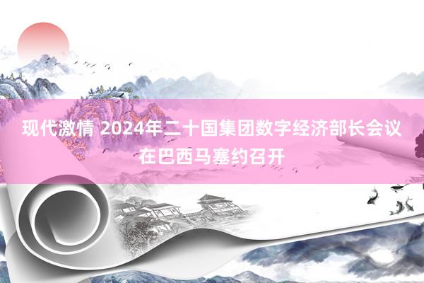 现代激情 2024年二十国集团数字经济部长会议在巴西马塞约召开