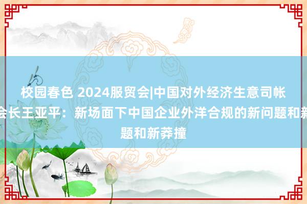 校园春色 2024服贸会|中国对外经济生意司帐学会会长王亚平：新场面下中国企业外洋合规的新问题和新莽撞