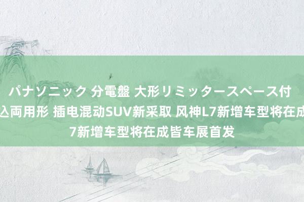 パナソニック 分電盤 大形リミッタースペース付 露出・半埋込両用形 插电混动SUV新采取 风神L7新增车型将在成皆车展首发