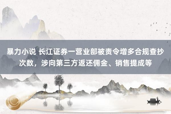 暴力小说 长江证券一营业部被责令增多合规查抄次数，涉向第三方返还佣金、销售提成等