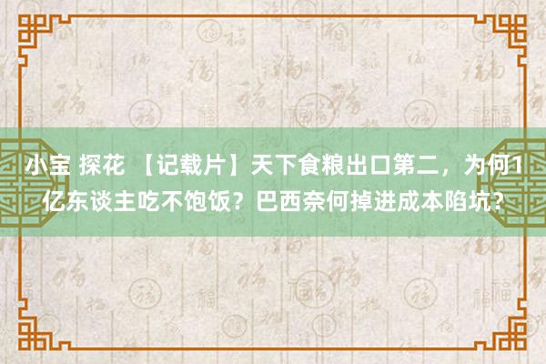 小宝 探花 【记载片】天下食粮出口第二，为何1亿东谈主吃不饱饭？巴西奈何掉进成本陷坑？