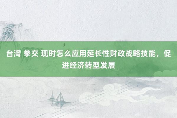 台灣 拳交 现时怎么应用延长性财政战略技能，促进经济转型发展