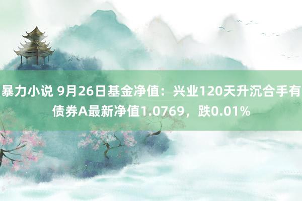 暴力小说 9月26日基金净值：兴业120天升沉合手有债券A最新净值1.0769，跌0.01%