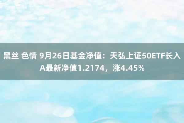 黑丝 色情 9月26日基金净值：天弘上证50ETF长入A最新净值1.2174，涨4.45%