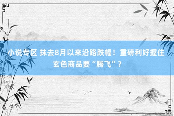 小说专区 抹去8月以来沿路跌幅！重磅利好握住 玄色商品要“腾飞”？