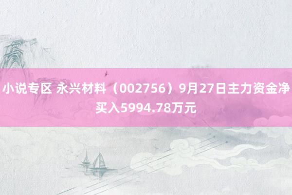 小说专区 永兴材料（002756）9月27日主力资金净买入5994.78万元