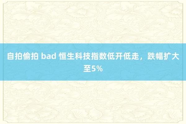 自拍偷拍 bad 恒生科技指数低开低走，跌幅扩大至5%