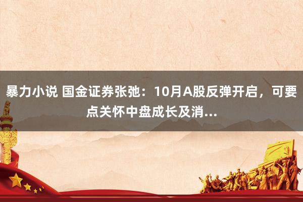 暴力小说 国金证券张弛：10月A股反弹开启，可要点关怀中盘成长及消...