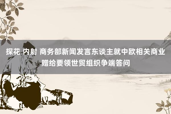 探花 内射 商务部新闻发言东谈主就中欧相关商业赠给要领世贸组织争端答问