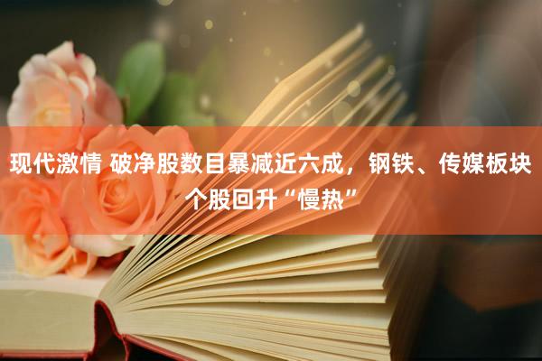 现代激情 破净股数目暴减近六成，钢铁、传媒板块个股回升“慢热”