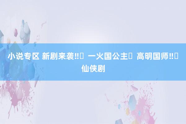 小说专区 新剧来袭‼️一火国公主❌高明国师‼️仙侠剧