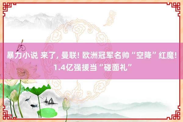 暴力小说 来了， 曼联! 欧洲冠军名帅“空降”红魔! 1.4亿强援当“碰面礼”