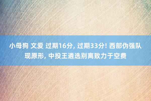 小母狗 文爱 过期16分， 过期33分! 西部伪强队现原形， 中投王遴选别离致力于空费