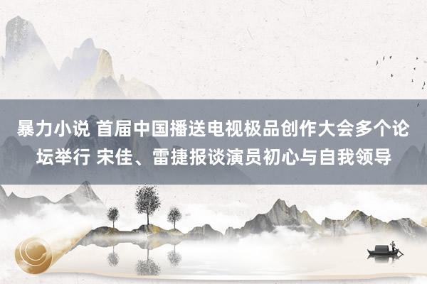 暴力小说 首届中国播送电视极品创作大会多个论坛举行 宋佳、雷捷报谈演员初心与自我领导