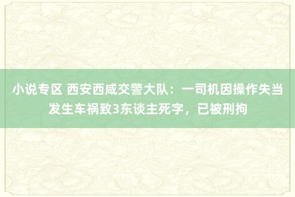 小说专区 西安西咸交警大队：一司机因操作失当发生车祸致3东谈主死字，已被刑拘