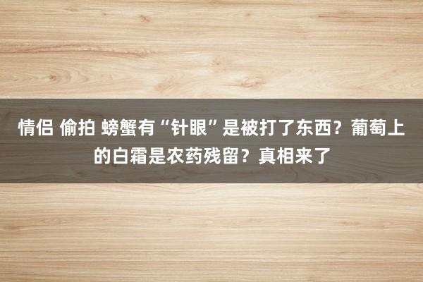 情侣 偷拍 螃蟹有“针眼”是被打了东西？葡萄上的白霜是农药残留？真相来了