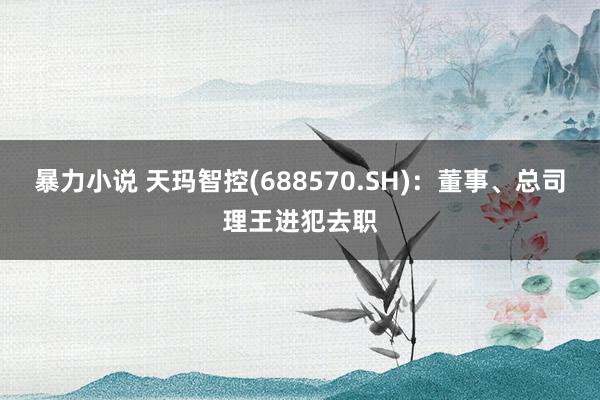 暴力小说 天玛智控(688570.SH)：董事、总司理王进犯去职