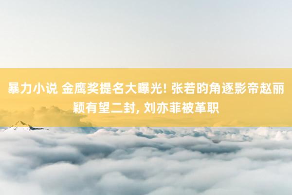 暴力小说 金鹰奖提名大曝光! 张若昀角逐影帝赵丽颖有望二封， 刘亦菲被革职