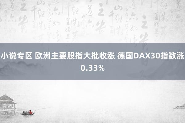 小说专区 欧洲主要股指大批收涨 德国DAX30指数涨0.33%