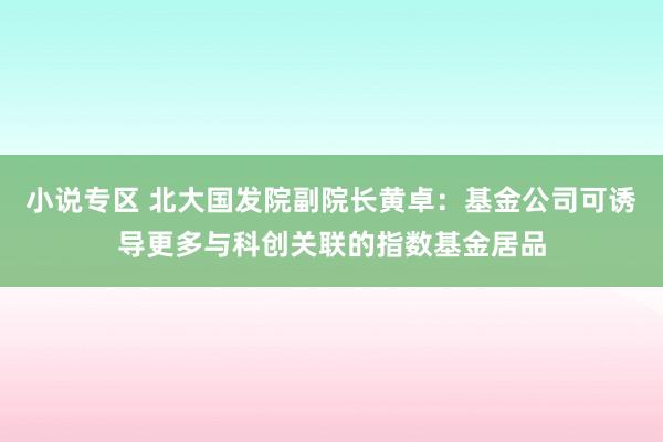 小说专区 北大国发院副院长黄卓：基金公司可诱导更多与科创关联的指数基金居品