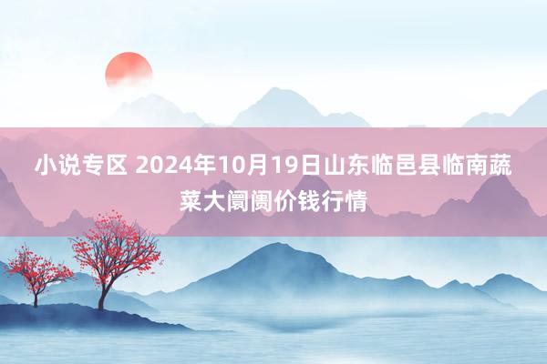 小说专区 2024年10月19日山东临邑县临南蔬菜大阛阓价钱行情