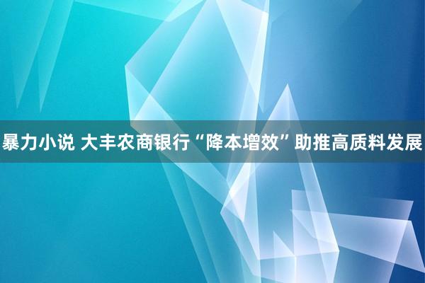 暴力小说 大丰农商银行“降本增效”助推高质料发展