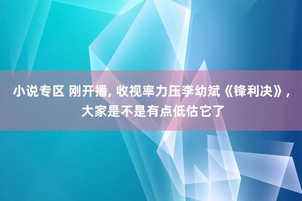 小说专区 刚开播， 收视率力压李幼斌《锋利决》， 大家是不是有点低估它了