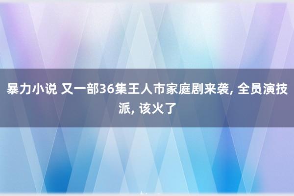 暴力小说 又一部36集王人市家庭剧来袭， 全员演技派， 该火了