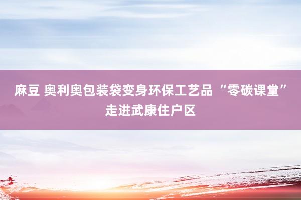 麻豆 奥利奥包装袋变身环保工艺品 “零碳课堂”走进武康住户区