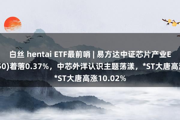 白丝 hentai ETF最前哨 | 易方达中证芯片产业ETF(516350)着落0.37%，中芯外洋认识主题荡漾，*ST大唐高涨10.02%