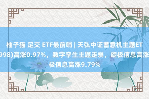 柚子猫 足交 ETF最前哨 | 天弘中证蓄意机主题ETF(159998)高涨0.97%，数字孪生主题走弱，旋极信息高涨9.79%