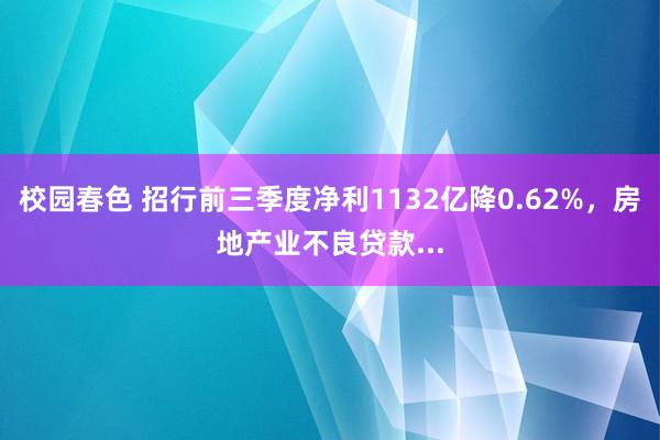 校园春色 招行前三季度净利1132亿降0.62%，房地产业不良贷款...