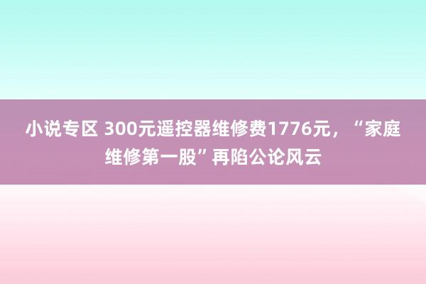 小说专区 300元遥控器维修费1776元，“家庭维修第一股”再陷公论风云