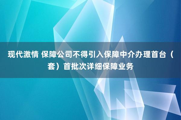 现代激情 保障公司不得引入保障中介办理首台（套）首批次详细保障业务