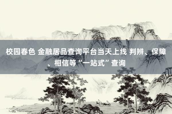 校园春色 金融居品查询平台当天上线 判辨、保障、相信等“一站式”查询