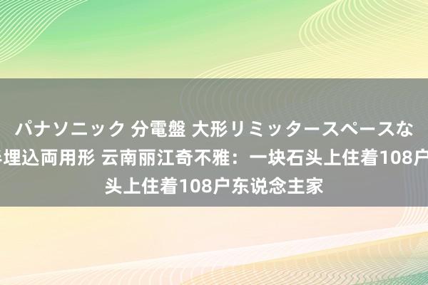 パナソニック 分電盤 大形リミッタースペースなし 露出・半埋込両用形 云南丽江奇不雅：一块石头上住着108户东说念主家