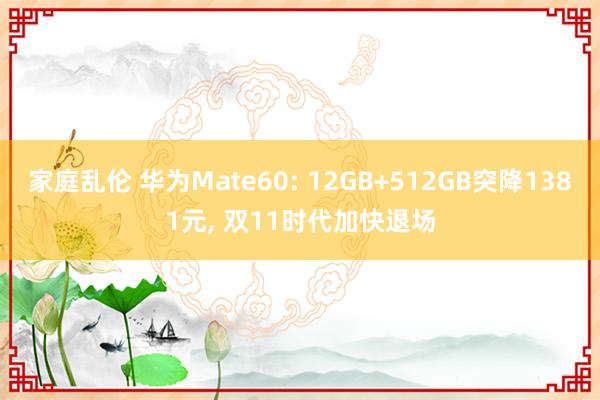 家庭乱伦 华为Mate60: 12GB+512GB突降1381元， 双11时代加快退场