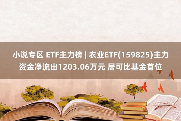 小说专区 ETF主力榜 | 农业ETF(159825)主力资金净流出1203.06万元 居可比基金首位