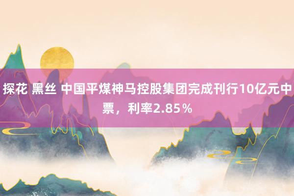 探花 黑丝 中国平煤神马控股集团完成刊行10亿元中票，利率2.85％