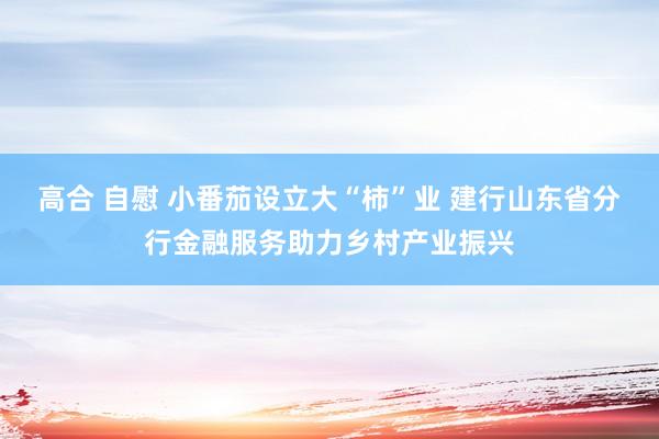 高合 自慰 小番茄设立大“柿”业 建行山东省分行金融服务助力乡村产业振兴