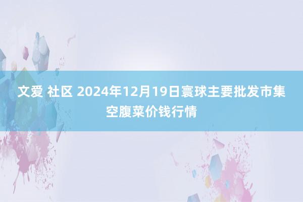 文爱 社区 2024年12月19日寰球主要批发市集空腹菜价钱行情