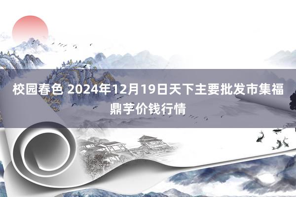 校园春色 2024年12月19日天下主要批发市集福鼎芋价钱行情