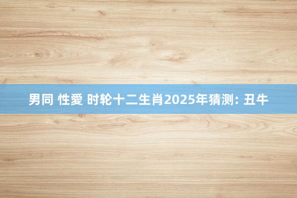 男同 性愛 时轮十二生肖2025年猜测: 丑牛